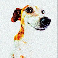 Pupsik2001